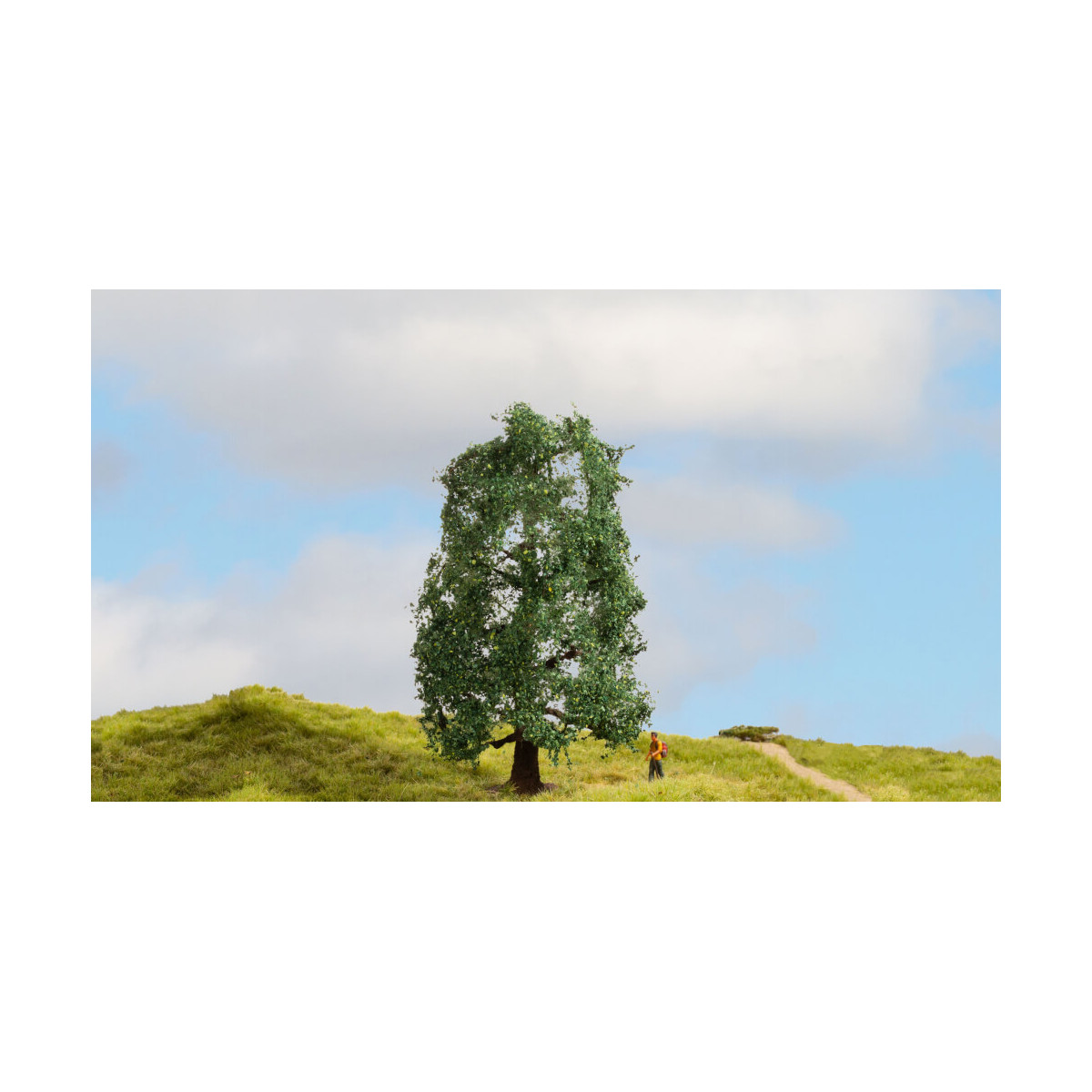 Eiche