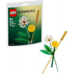 Feldblumen