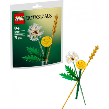 Feldblumen