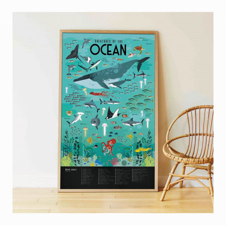 Poppik - Lernposter Ozean Poppik - Lernposter Ozean