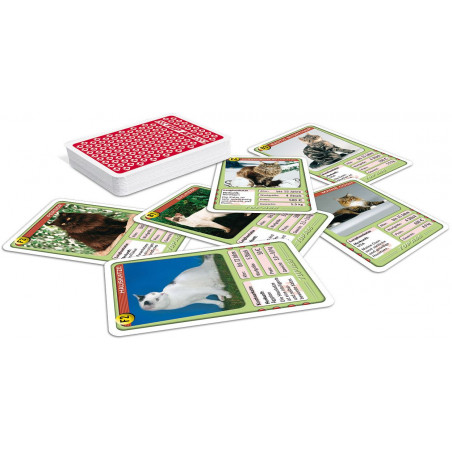 ASS Altenburger Spielkarten - TOP ASS Katzen