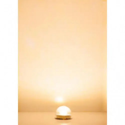 LED-Beleuchtungssockel, warm