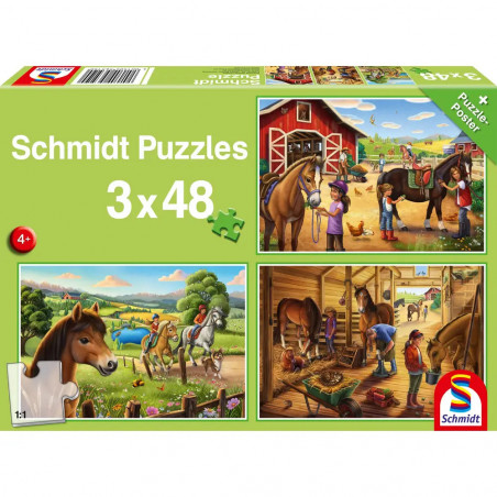 KIPU3x48T.Meine Lieblingspferde
