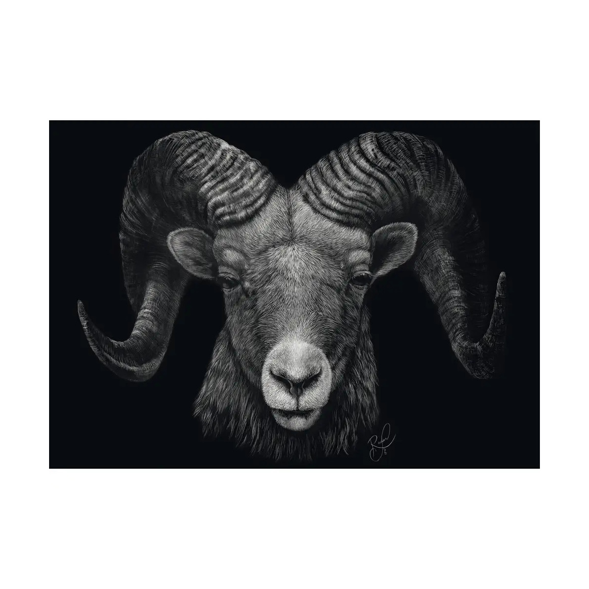 PU1000T.A.Rader Dominance,Widder, Im Zeichen des Feuers