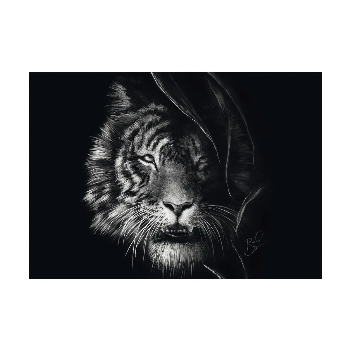 PU1000T.A.Rader Wilderness, Tiger, Im Zeichen der Freiheit