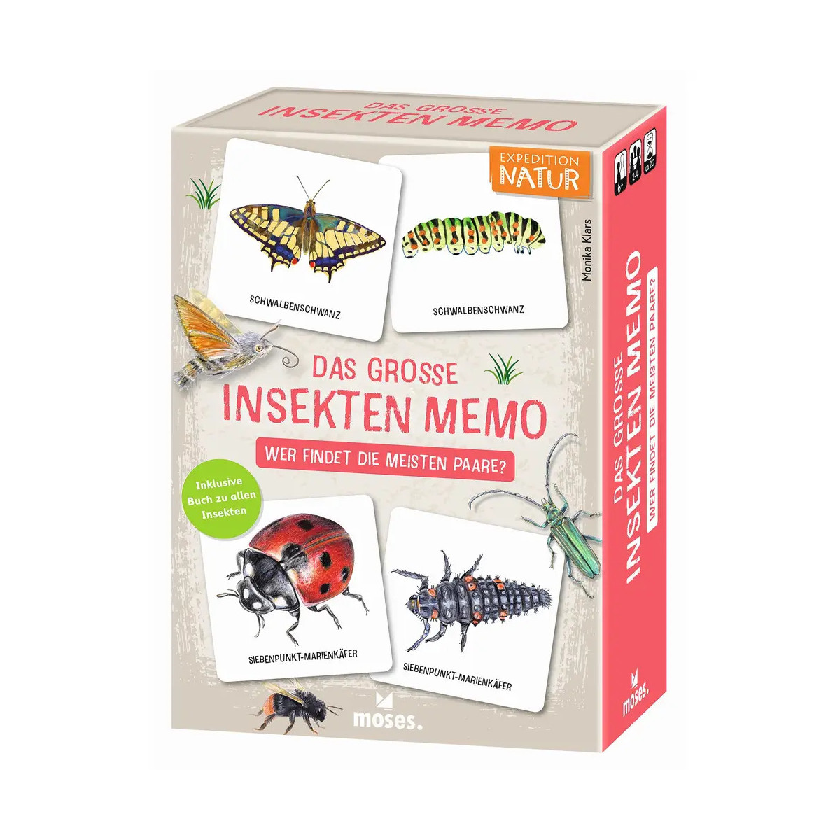 Das große Insekten Memo - Wer findet die meisten Paare