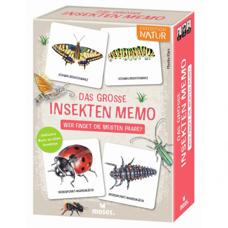 Das große Insekten Memo - Wer findet die meisten Paare
