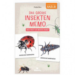 Das große Insekten Memo - Wer findet die meisten Paare