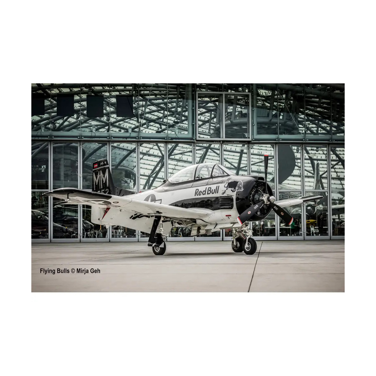 Geschenkset Flying Bulls T-28B Trojan, Revell Modellbausatz mit Basiszubehör