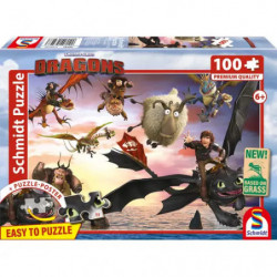 KIPU100T.Dragons, Drachenreiter in Aktion