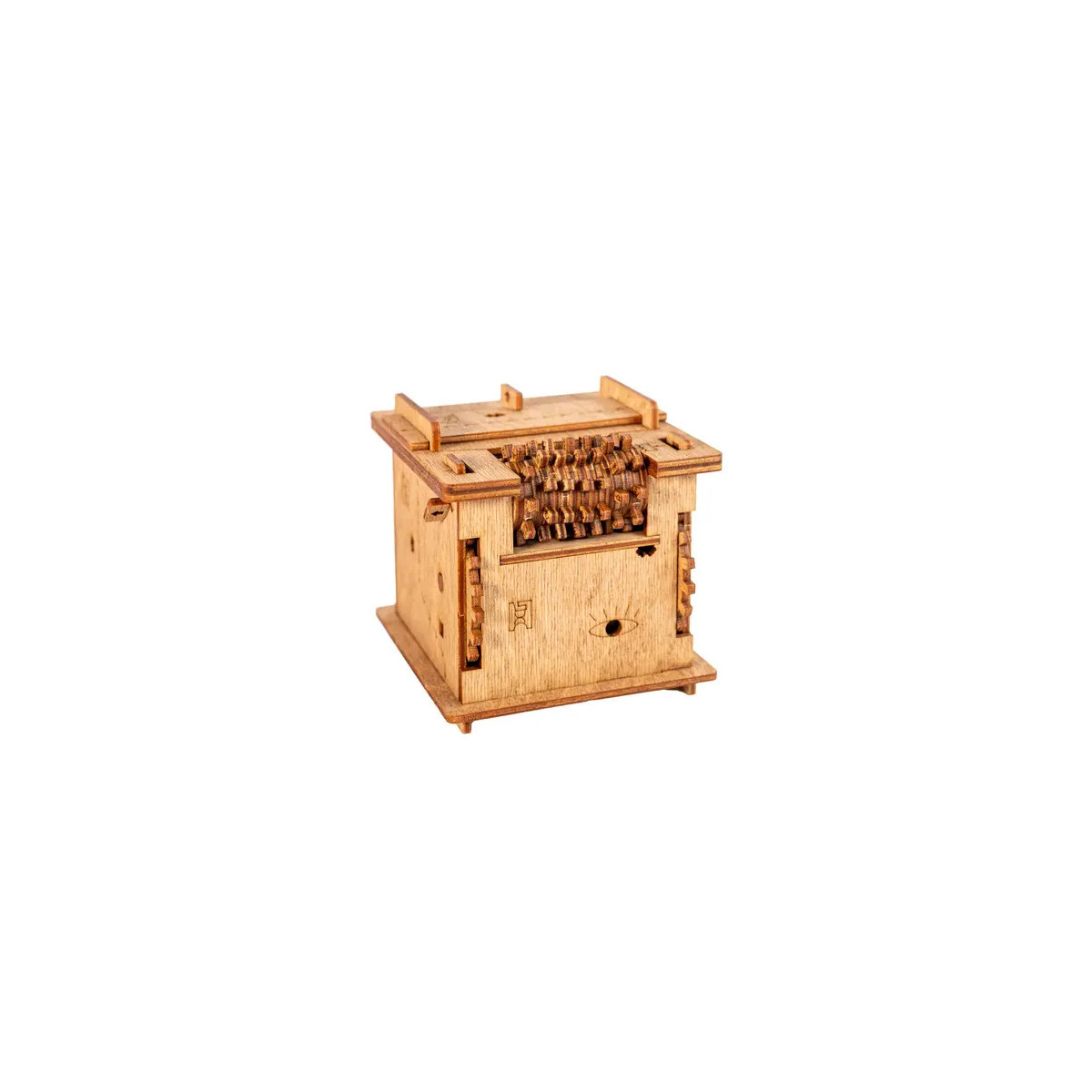 Cluebox - Escape Room in einer Box. Schrödingers Katze
