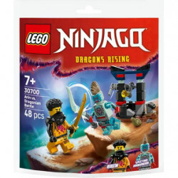LEGO® NINJAGO® 30700 Arins Duell mit dem Drachenmenschen