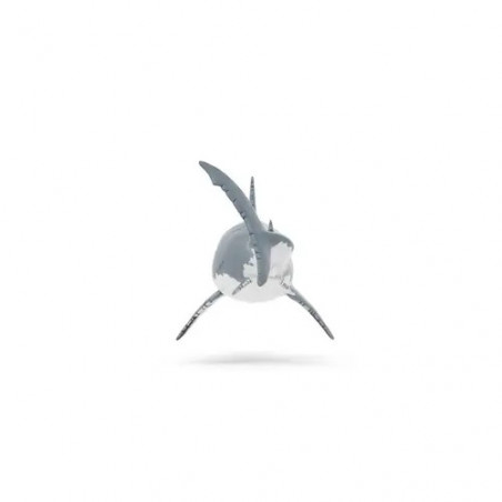 Megalodon