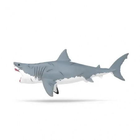 Megalodon