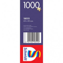 PU1000T.C.Pinson Inselzeit