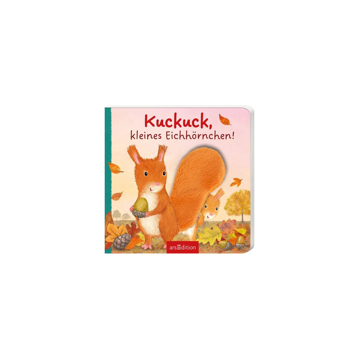 Kuckuck, klein.Eichhörnchen!