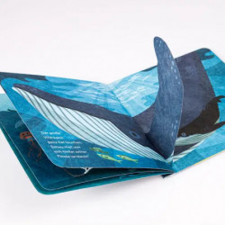 Baby Pixi 142 Flippedi Meer