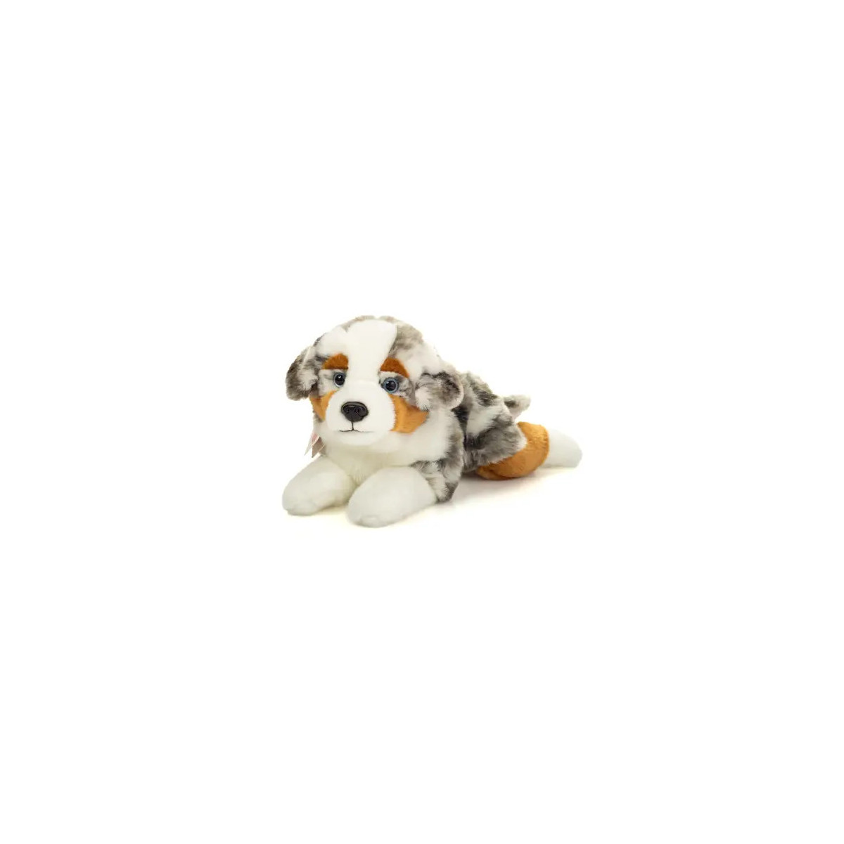 Australian Shepherd liegend 40 cm