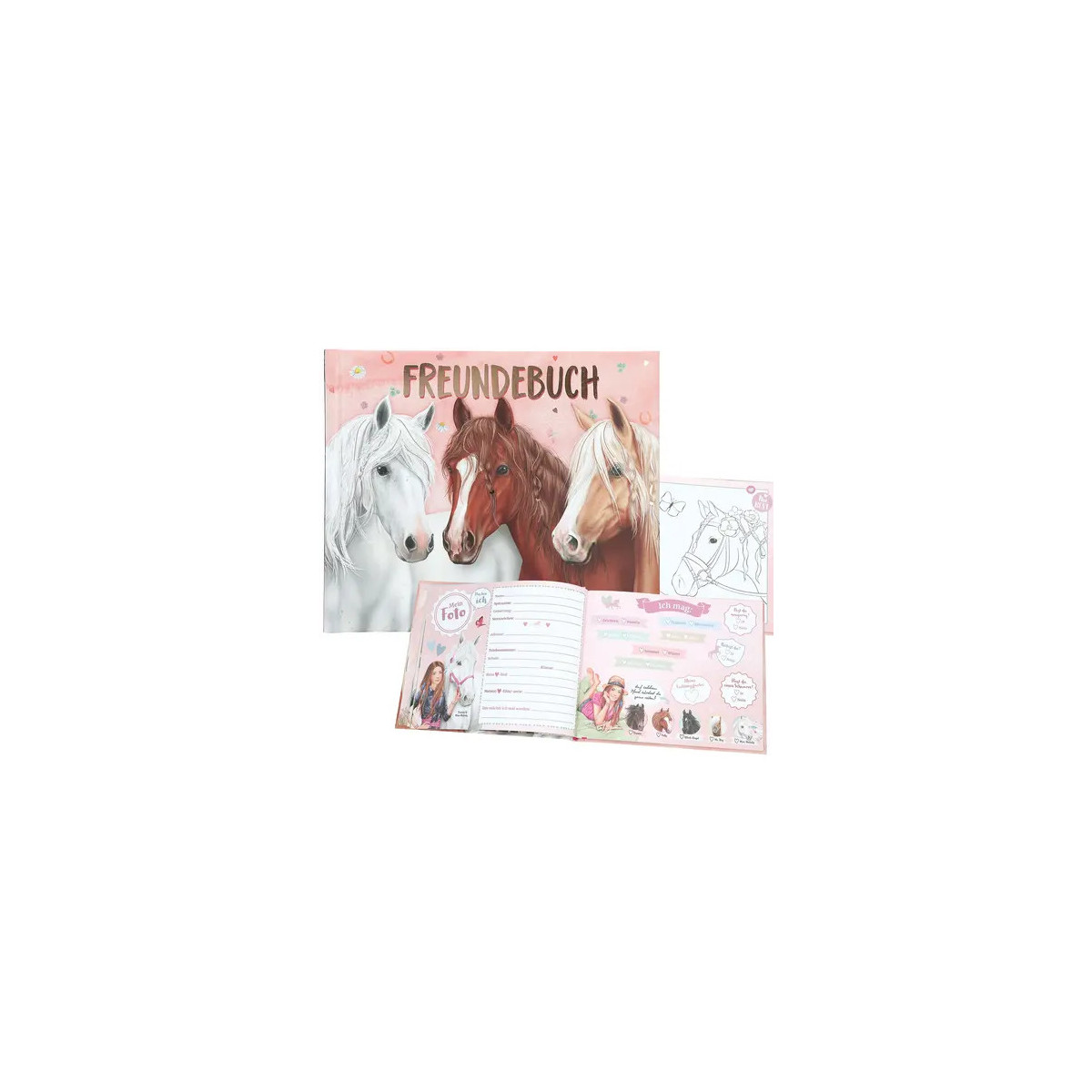 Miss Melody Freundebuch, Moti