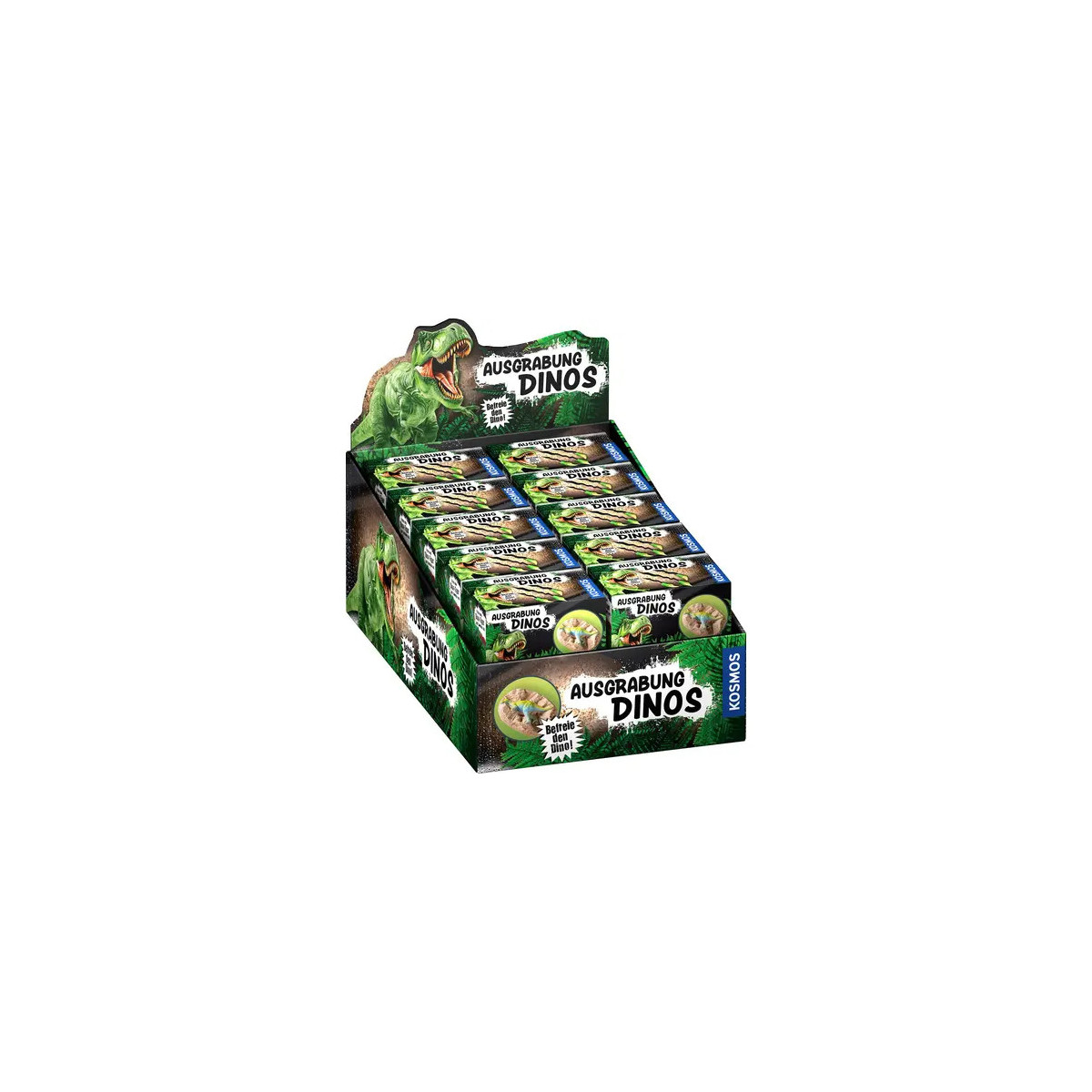Ausgrabung Dinos (20 Ex. im Display)