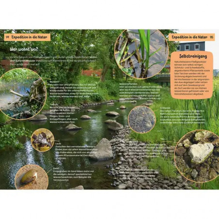 Kindernaturführer Was lebt an Bach und Teich