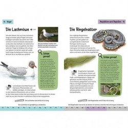 Kindernaturführer Was lebt an Bach und Teich