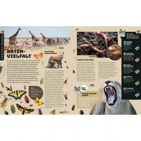 Kosmos SchlauFUX Erde