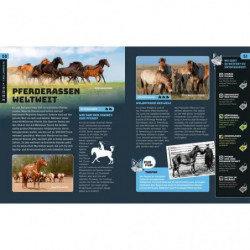 Kosmos SchlauFUX Pferde