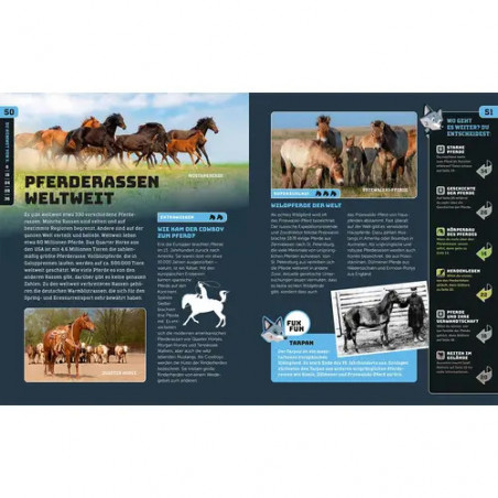 Kosmos SchlauFUX Pferde