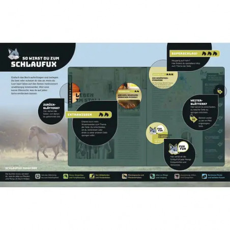 Kosmos SchlauFUX Pferde