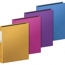 Ringbuch A4 Trend 4-Ring sortiert