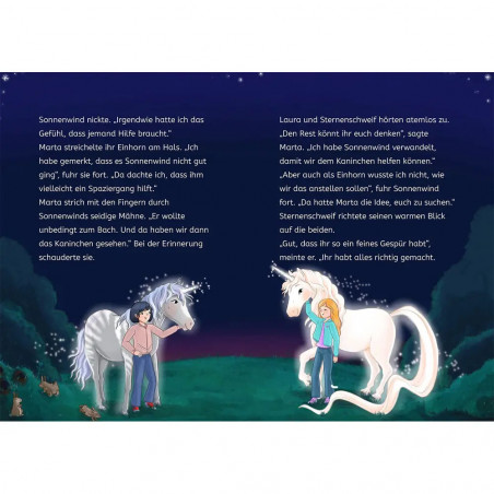 Sternenschweif 3 Zauber-Zebra