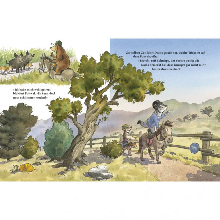 Napp, Dr. Brumm / Ponyhof