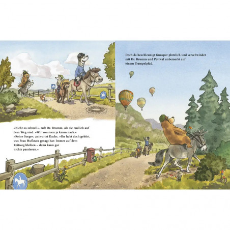 Napp, Dr. Brumm / Ponyhof