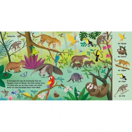 erst. Natur-Wimmelb.:Tiere a