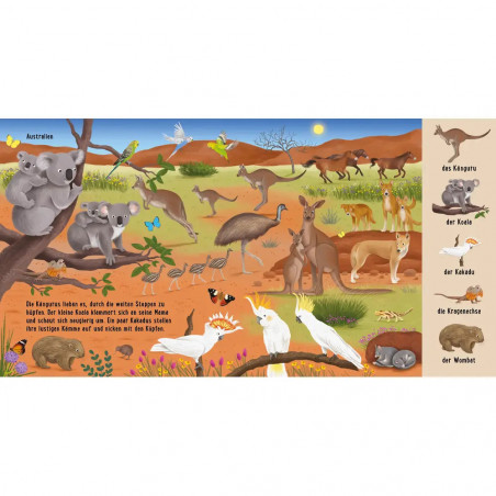 erst. Natur-Wimmelb.:Tiere a