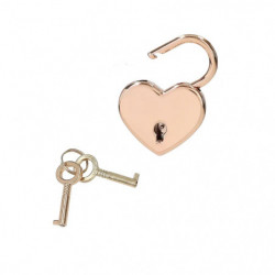 TOPModel Tagebuch mit Geheims