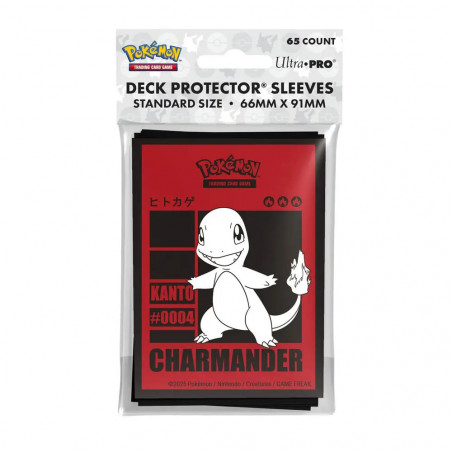 PKM Charmander Protector (65)