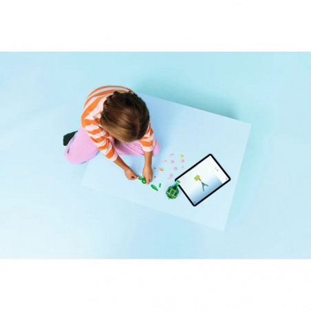 Schildkröte mit Seerose