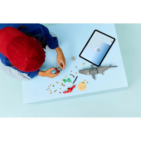 Wilder Hai mit Schatztruhe