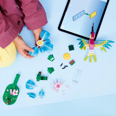 Wilde Tiere: Bunter Kolibri