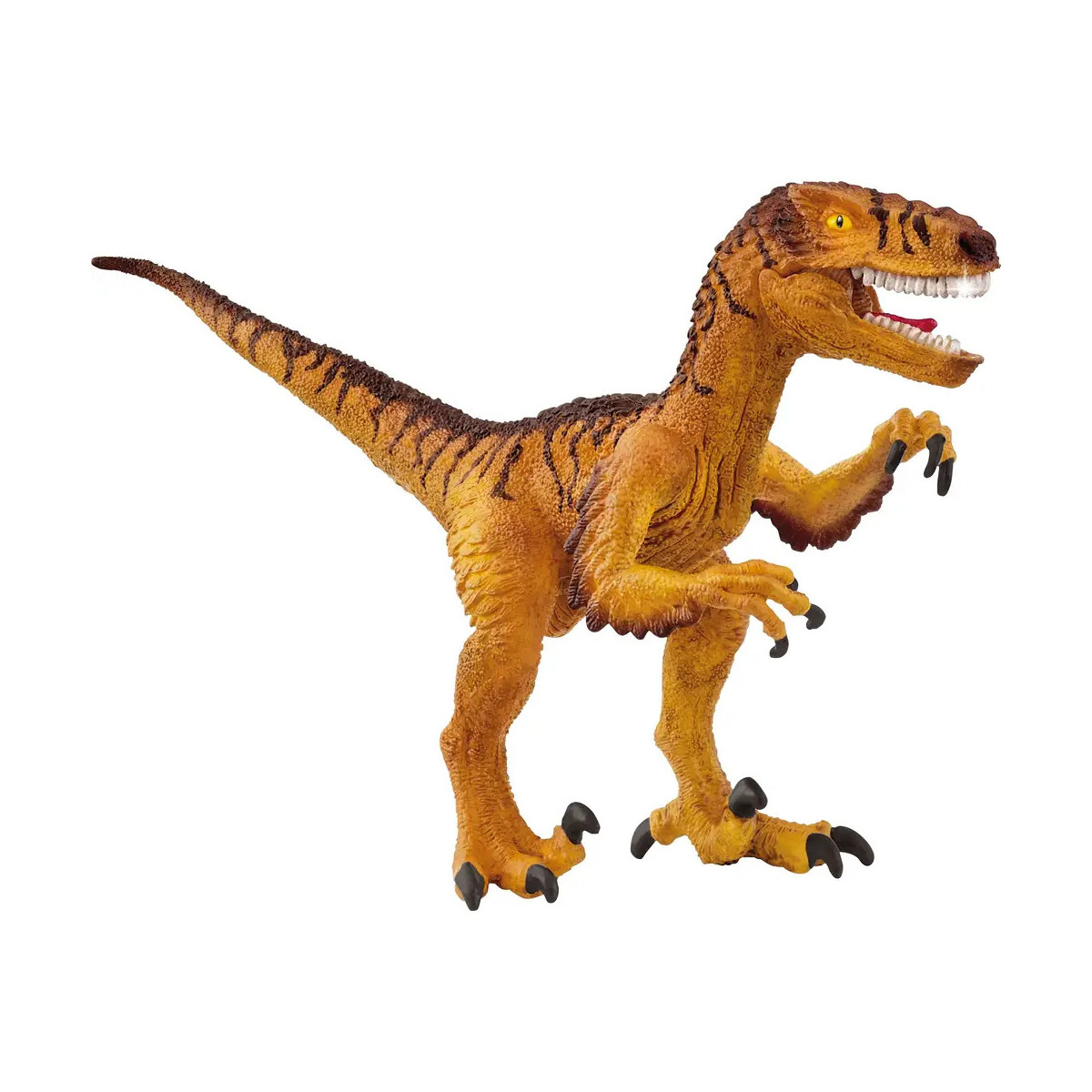 Velociraptor