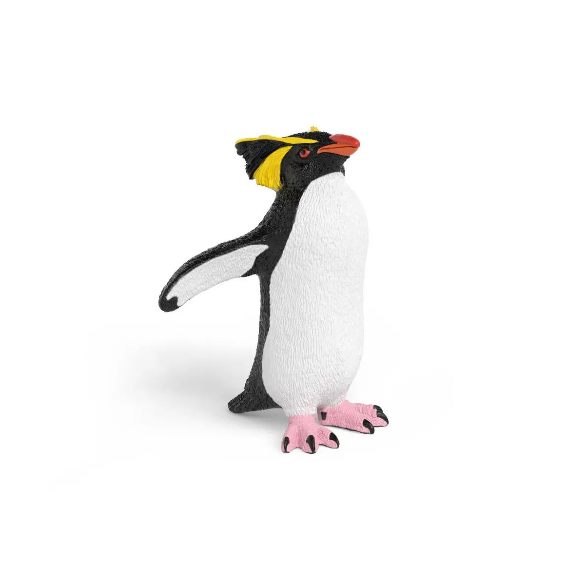 Felsenpinguin
