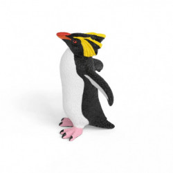 Felsenpinguin