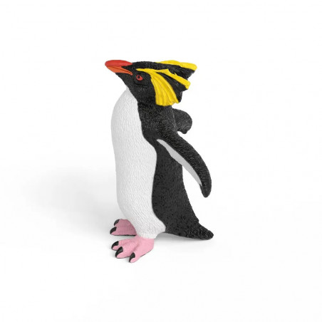 Felsenpinguin