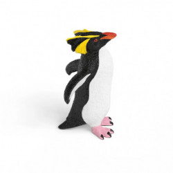Felsenpinguin