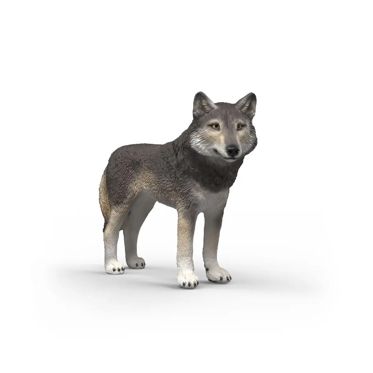 Amerikanischer Wolf