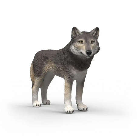 Amerikanischer Wolf