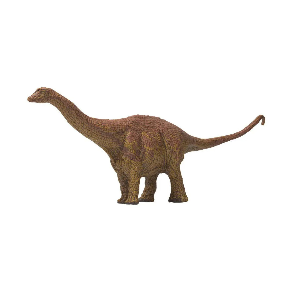 Brontosaurus