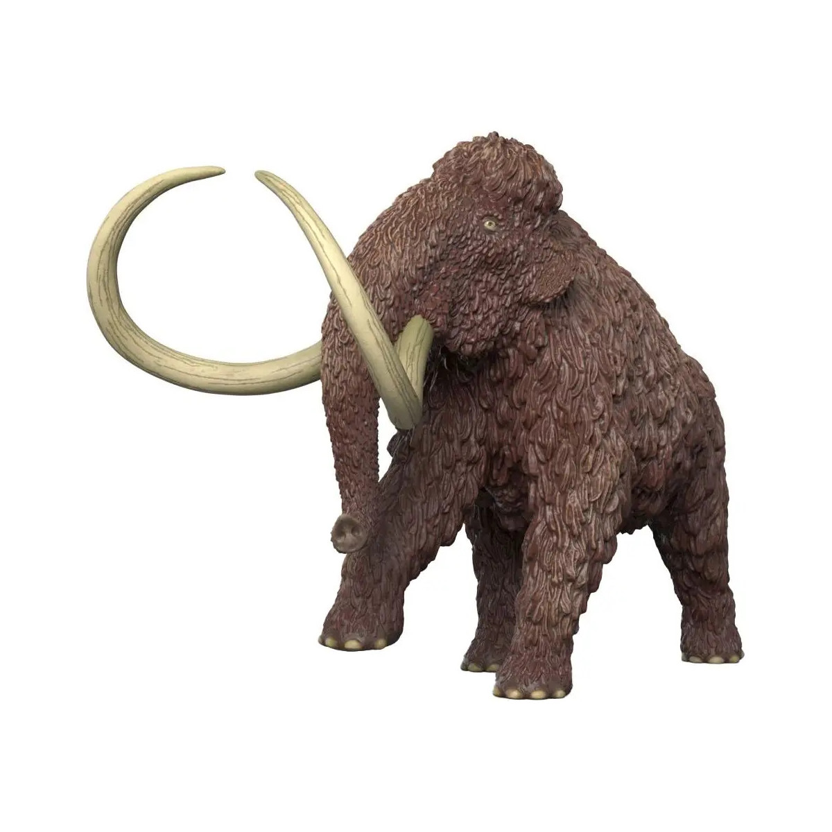 Mammut
